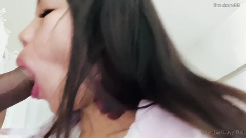 Ltof Bj Doggy