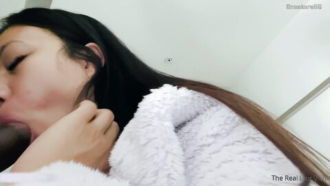 Ltof Bj Doggy