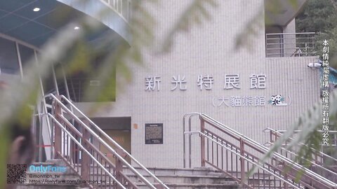 Sex Vlog In Taipei Full Version At Onlyfans