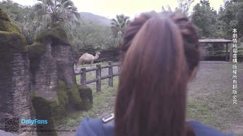 Sex Vlog In Taipei Full Version At Onlyfans