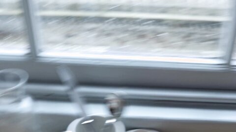 First Date With Shy Chinese Student Ends Well She Screams As Foreigner