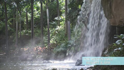VPXF-75103 Mikie Hara 原幹恵 – Beach Angels 原幹恵 in マウイ島 Blu-ray