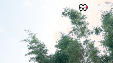 TMW201淫荡女友的性癖好