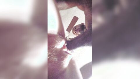 Pawg Gets Her Pussy Stretched Out By Bbc