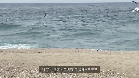 꽃빵이의 밤에도 술???? 낮에도 술？1편 Travel VLOG 강원도 여행 브이로그 侶行 旅行 Viaje Reise