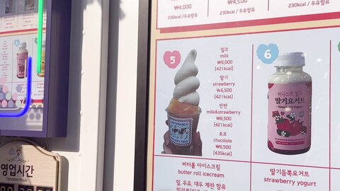 데이트????????꽃빵 실물 느낌????Let's go on a date at an amusement park Lotte World