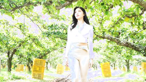 배 따고 왔어요 Orchard Vlogs????果樹園、梨 ⧸ Obstgarten Schiff