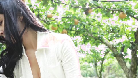 배 따고 왔어요 Orchard Vlogs????果樹園、梨 ⧸ Obstgarten Schiff