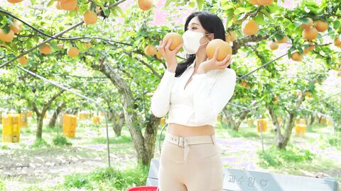 배 따고 왔어요 Orchard Vlogs????果樹園、梨 ⧸ Obstgarten Schiff