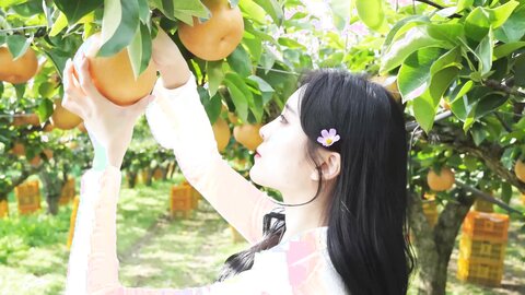 배 따고 왔어요 Orchard Vlogs????果樹園、梨 ⧸ Obstgarten Schiff