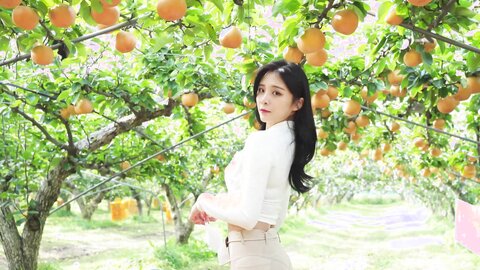 배 따고 왔어요 Orchard Vlogs????果樹園、梨 ⧸ Obstgarten Schiff