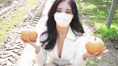 배 따고 왔어요 Orchard Vlogs????果樹園、梨 ⧸ Obstgarten Schiff