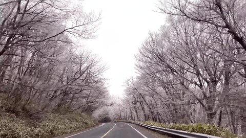 VLOG12월 한라산의 첫 눈☃제주도 여행 브이로그feat. 생얼????