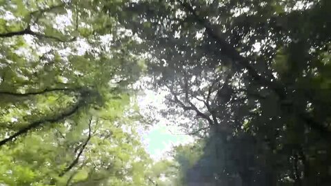 VLOG????제주도 여행 브이로그 마지막 편 JEJU Trip VLOG????