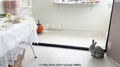 VLOG????제주도 여행 브이로그 마지막 편 JEJU Trip VLOG????