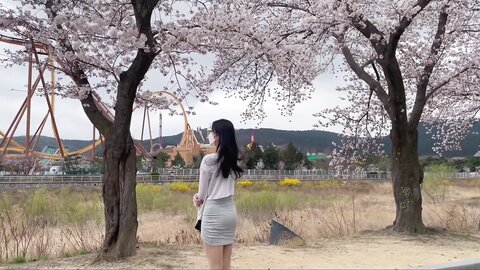 VLOG저랑 벚꽃보러 가실래요？✿˘◡˘✿경주 여행 브이로그 ⧸ Korea Gyeongju trip vlog たび Voyagedu lịch การท่องเที่ยว