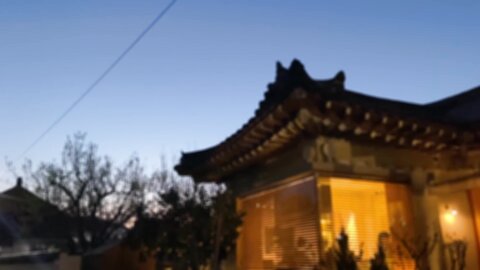 VLOG저랑 벚꽃보러 가실래요？✿˘◡˘✿경주 여행 브이로그 ⧸ Korea Gyeongju trip vlog たび Voyagedu lịch การท่องเที่ยว