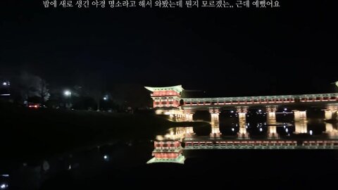 VLOG저랑 벚꽃보러 가실래요？✿˘◡˘✿경주 여행 브이로그 ⧸ Korea Gyeongju trip vlog たび Voyagedu lịch การท่องเที่ยว