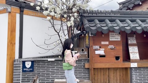 VLOG저랑 벚꽃보러 가실래요？✿˘◡˘✿경주 여행 브이로그 ⧸ Korea Gyeongju trip vlog たび Voyagedu lịch การท่องเที่ยว