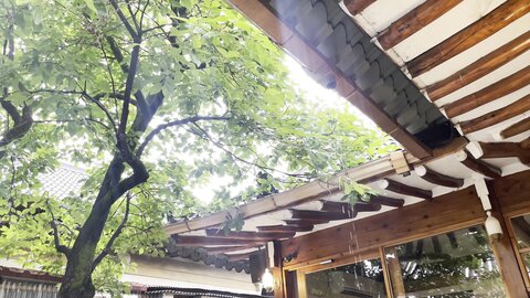 사랑하는 경주 핫플 ⸜♡'ᗜ'♡⸝ ⧸ Gyeongju trip VLOG 旅行 Viaje Voyage