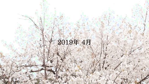 SDJS-028 [Uncensored] SOD Female Employee Acme!Iki Roll Up Company Briefing 2019 Can You Give A Presentation Without...