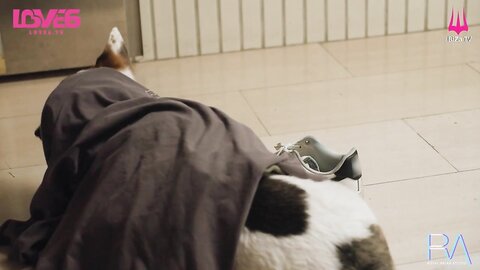 RAS-0341瑜伽姐姐的淫荡生活