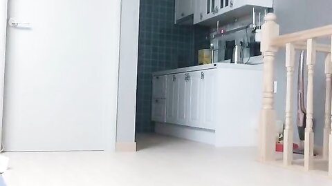 Webcam 0314