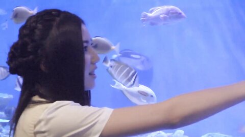 Ryoha Kitagawa 北川綾巴 - でぃすかば愛知! 恋人とのドライブデート@竹島篇 (2016.xx) (98P+1MOV)