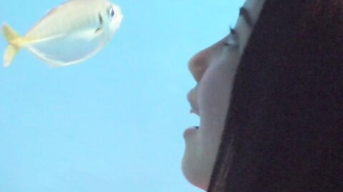 Ryoha Kitagawa 北川綾巴 - でぃすかば愛知! 恋人とのドライブデート@竹島篇 (2016.xx) (98P+1MOV)