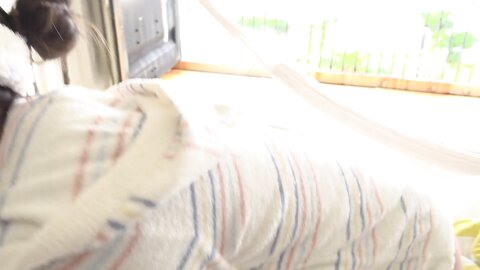 SBVB-0053 Anna Hongo 本郷杏奈 – AN-NA