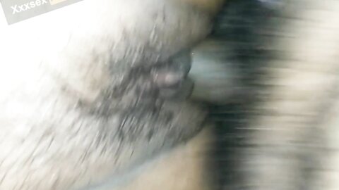 Babu Chodo Mujhe Jor Se Hindi Audio Dirty Talk