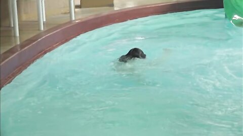 ENBP-1021 虹のコンキスタドール予科生 「あちあち♡はっちゃけぶっちゃけ夏休み!!!!!!」