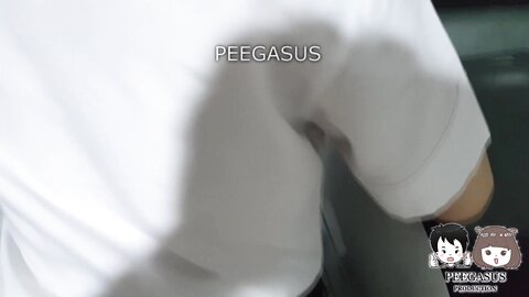 Peegasuss Ph 94