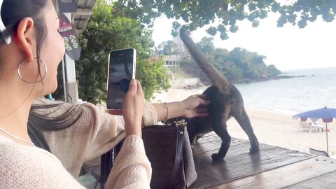 Day Date With Thai Pornstar Leads To Sex Session