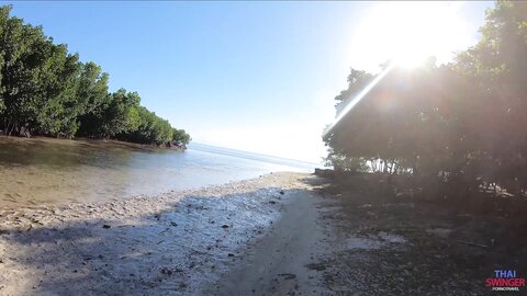 Public Beach Barebacking