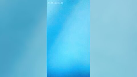 Webcam 0451