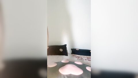 Webcam 0466