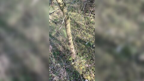 Onlyfans Com  Katerich  5E94C1859C326C40D025B