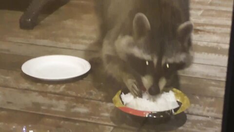 めるオフショット