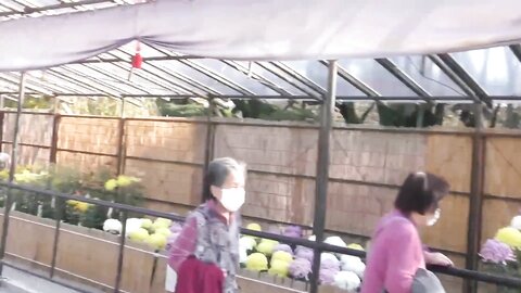 めるの２泊３日想い出旅行本編