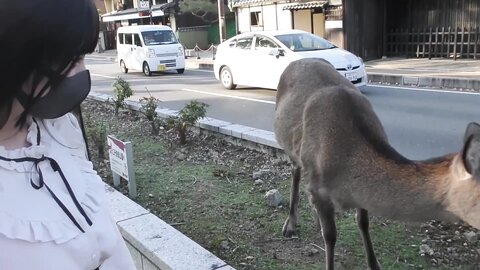 めるの２泊３日想い出旅行本編