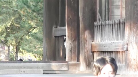めるの２泊３日想い出旅行本編