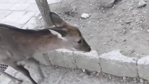 めるの２泊３日想い出旅行本編