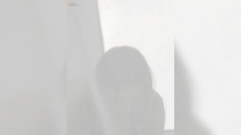 Korean Realgraphic No.070