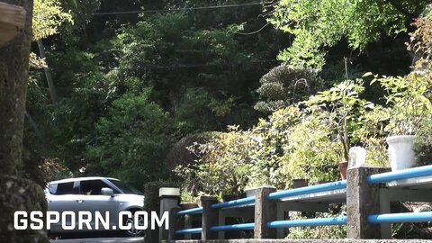 Nice Japanese Double Couple Makes Excursion Of Hot Sex In Nature