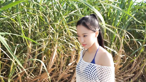 写真集 「さくら日和」 メイキングDVD Upscale