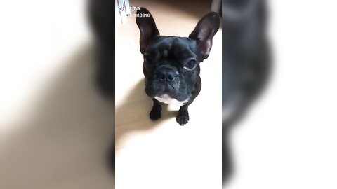 [Twitter] いくみ – (193iKkyu3) (10.11.2022) [2476P116V-1.04GB] (2)