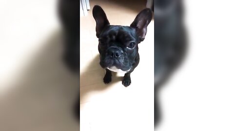 [Twitter] いくみ – (193iKkyu3) (10.11.2022) [2476P116V-1.04GB] (2)
