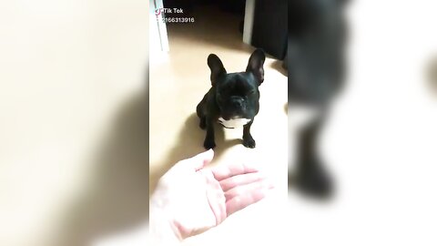 [Twitter] いくみ – (193iKkyu3) (10.11.2022) [2476P116V-1.04GB] (2)