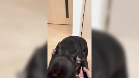 [Twitter] いくみ – (193iKkyu3) (10.11.2022) [2476P116V-1.04GB] (72)